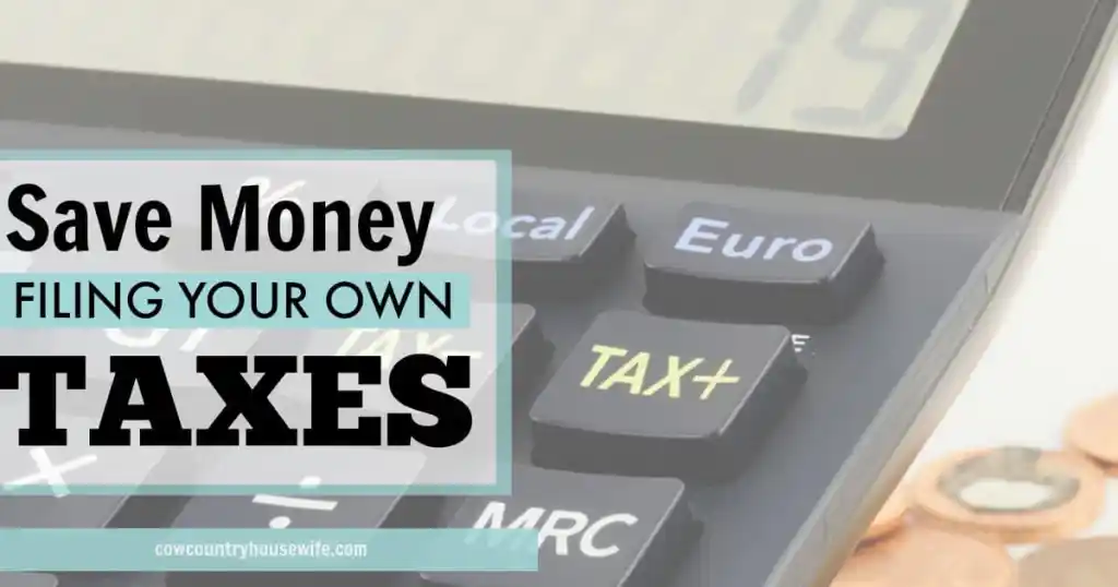 File Your Own Income Taxes